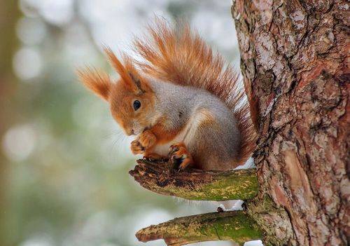 Холодно то как и жрать нечего