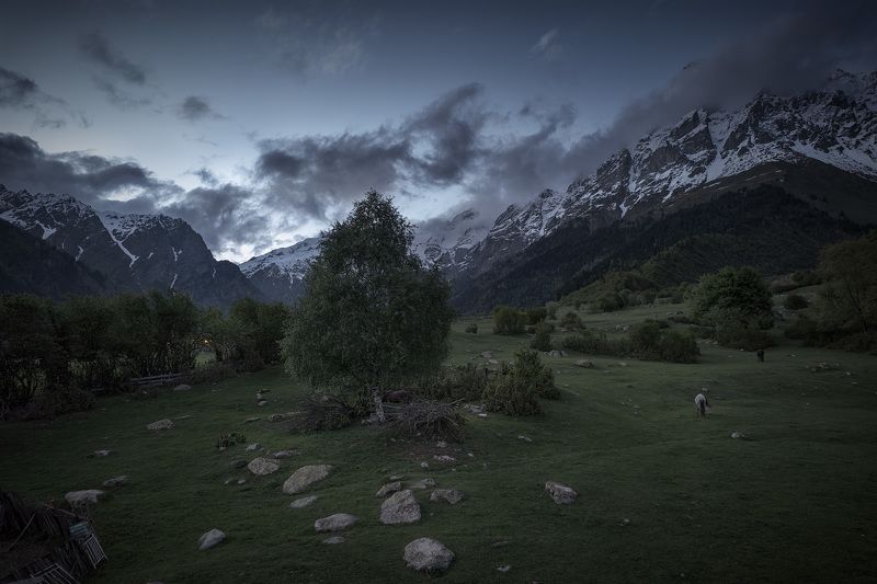 Night In Mazeri фото превью