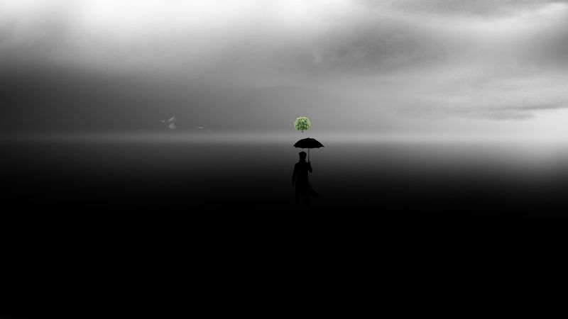 Silent Tranquility фото превью