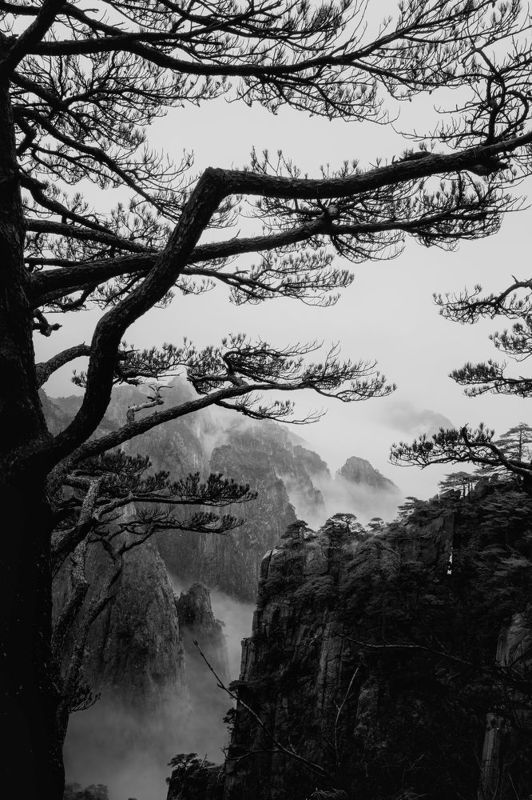 Huangshan mountain фото превью