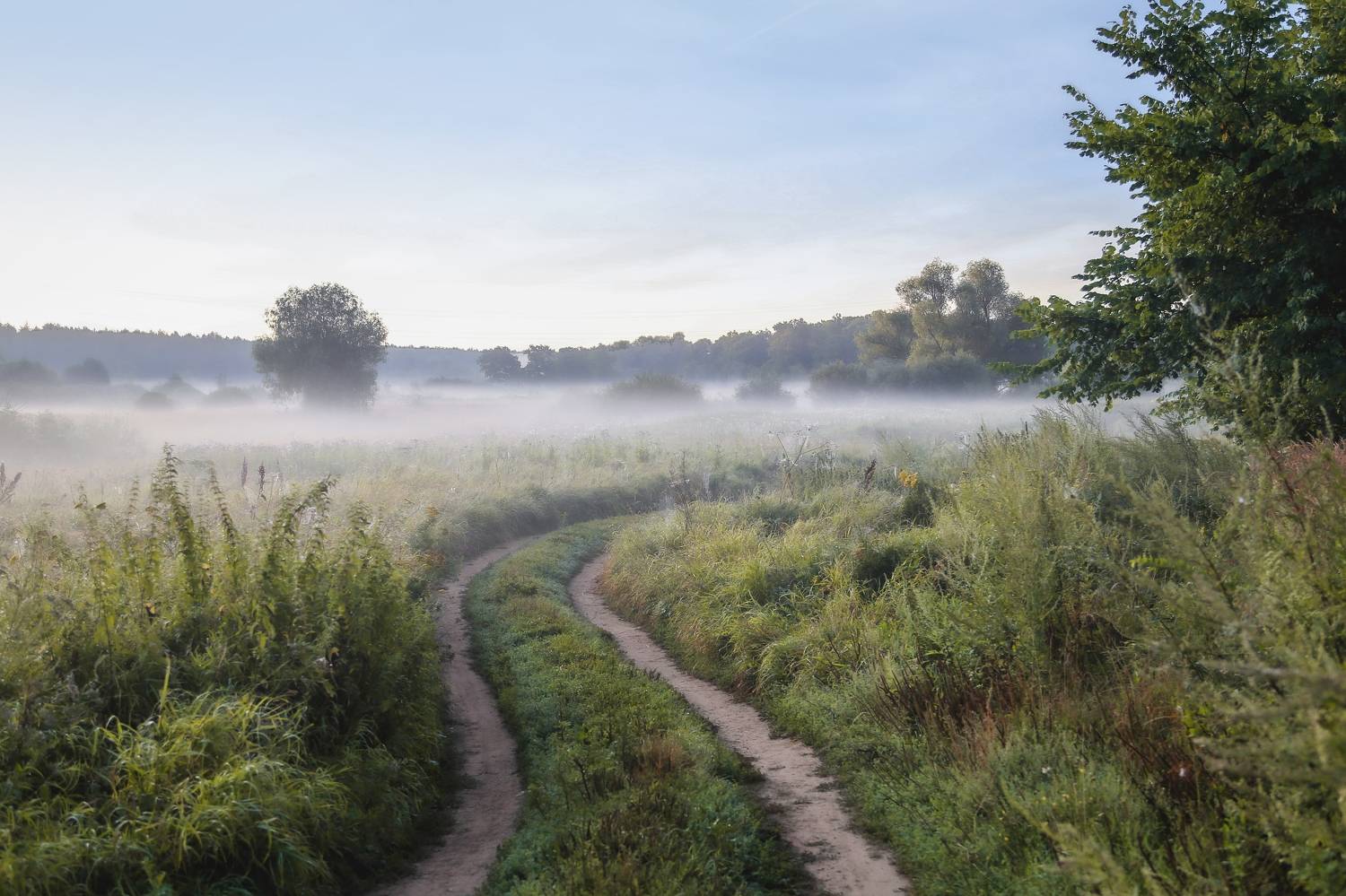 Владимир, город Владимир, Золотое кольцо России, природа России, туман, утро, Кормашова Татьяна