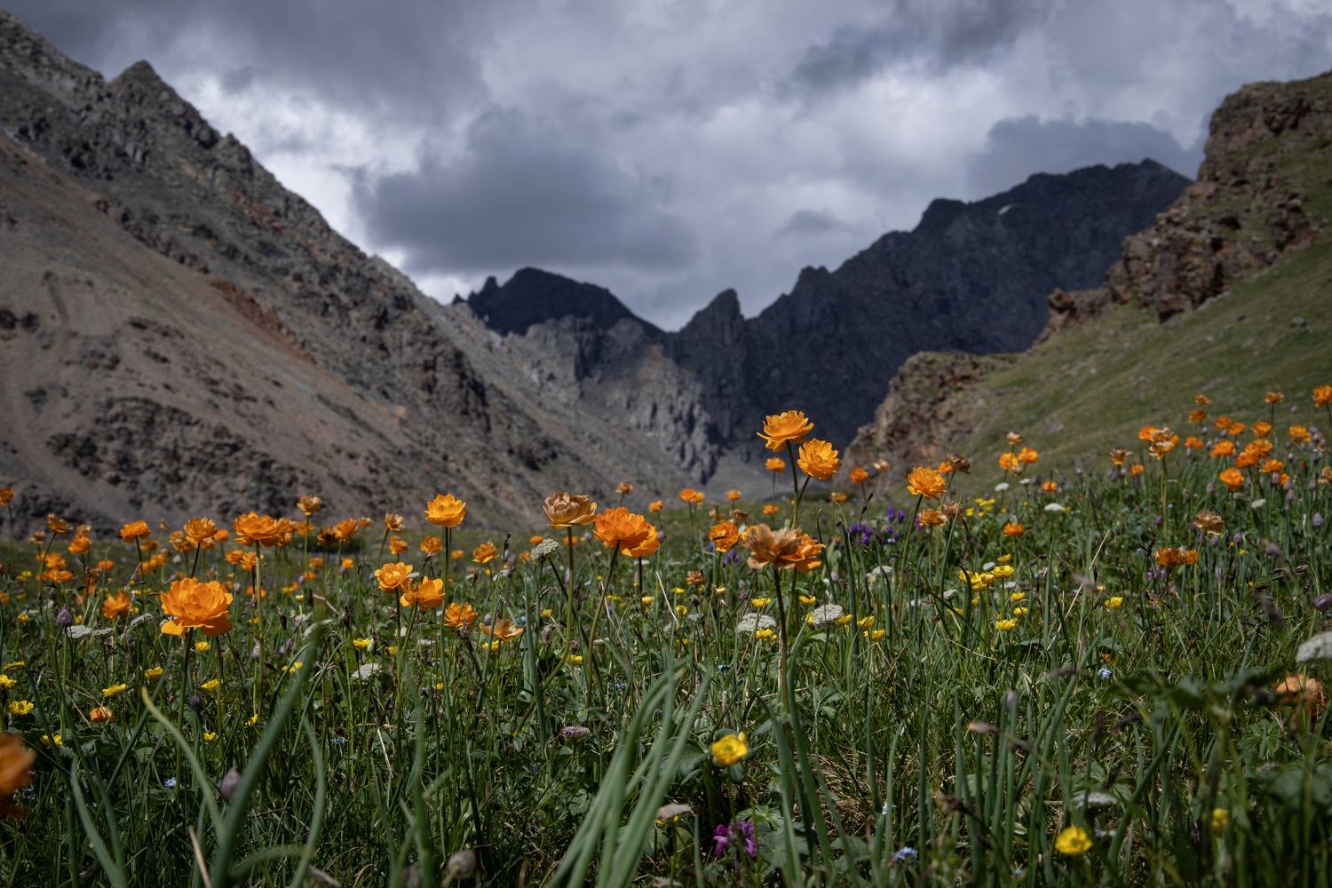 , Закаляпин Денис