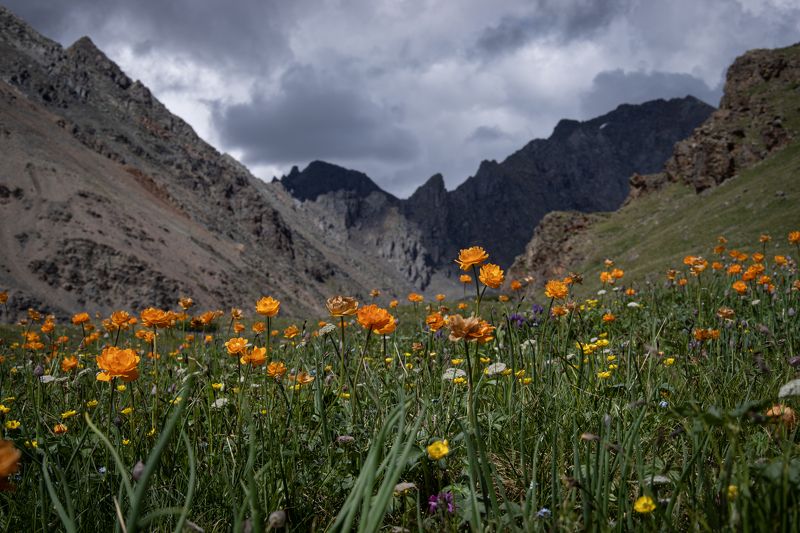 в долине между скал фото превью