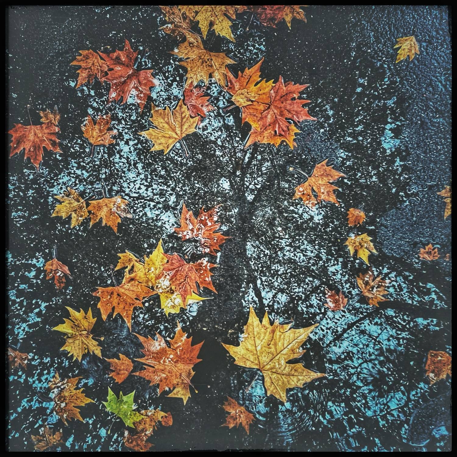 , Ga&scaron;per Le&scaron;nik