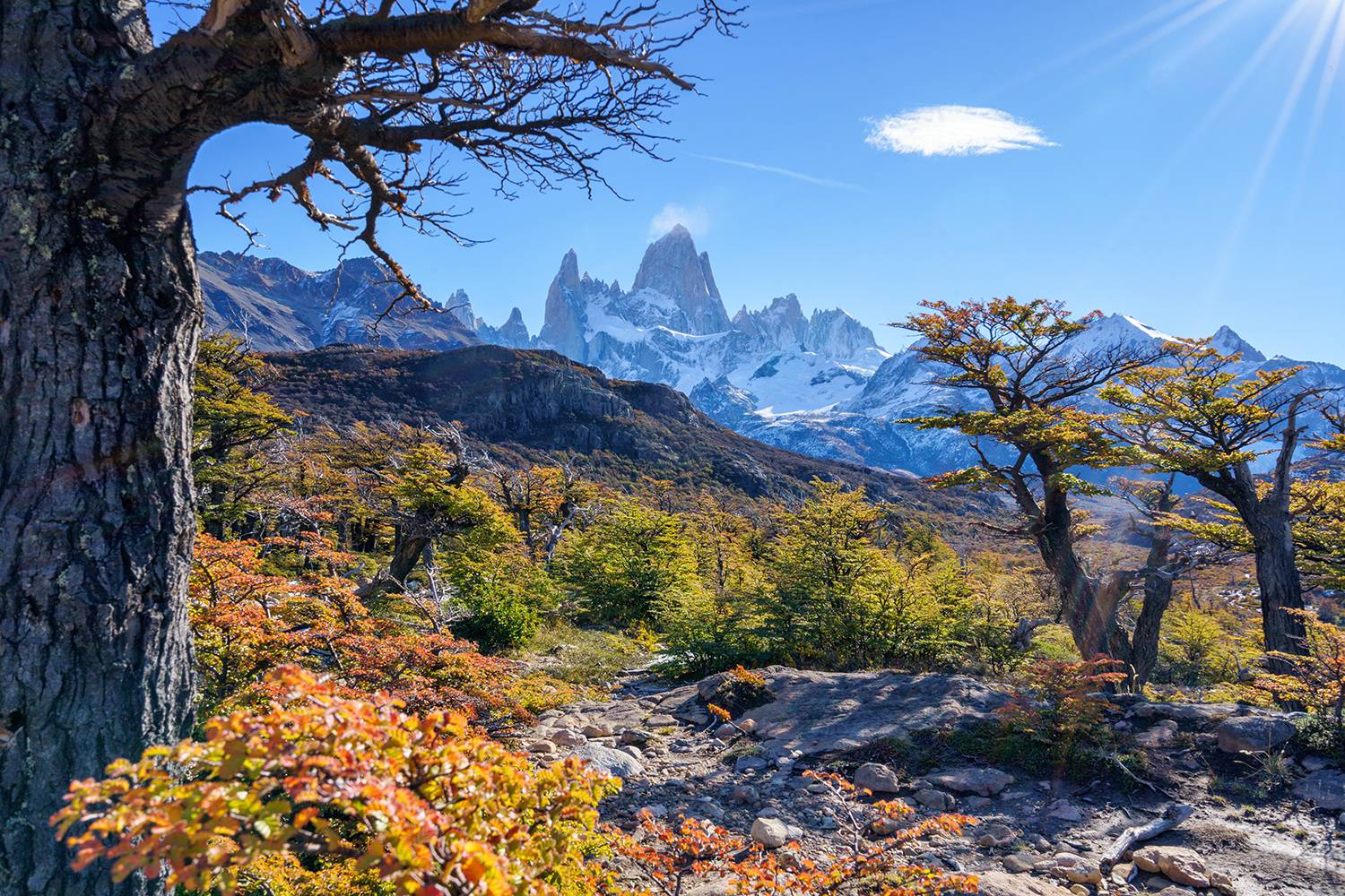 , Лариса Дука