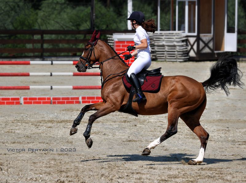 На барьер.....(Мария Янголенко и Хиндира) фото превью