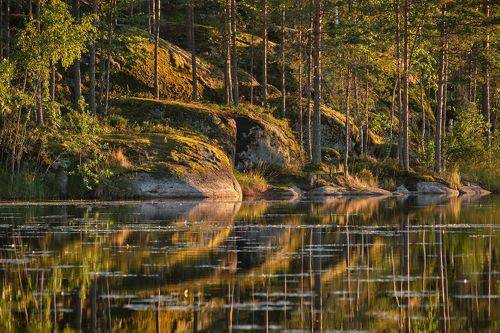 Золотистые скалы