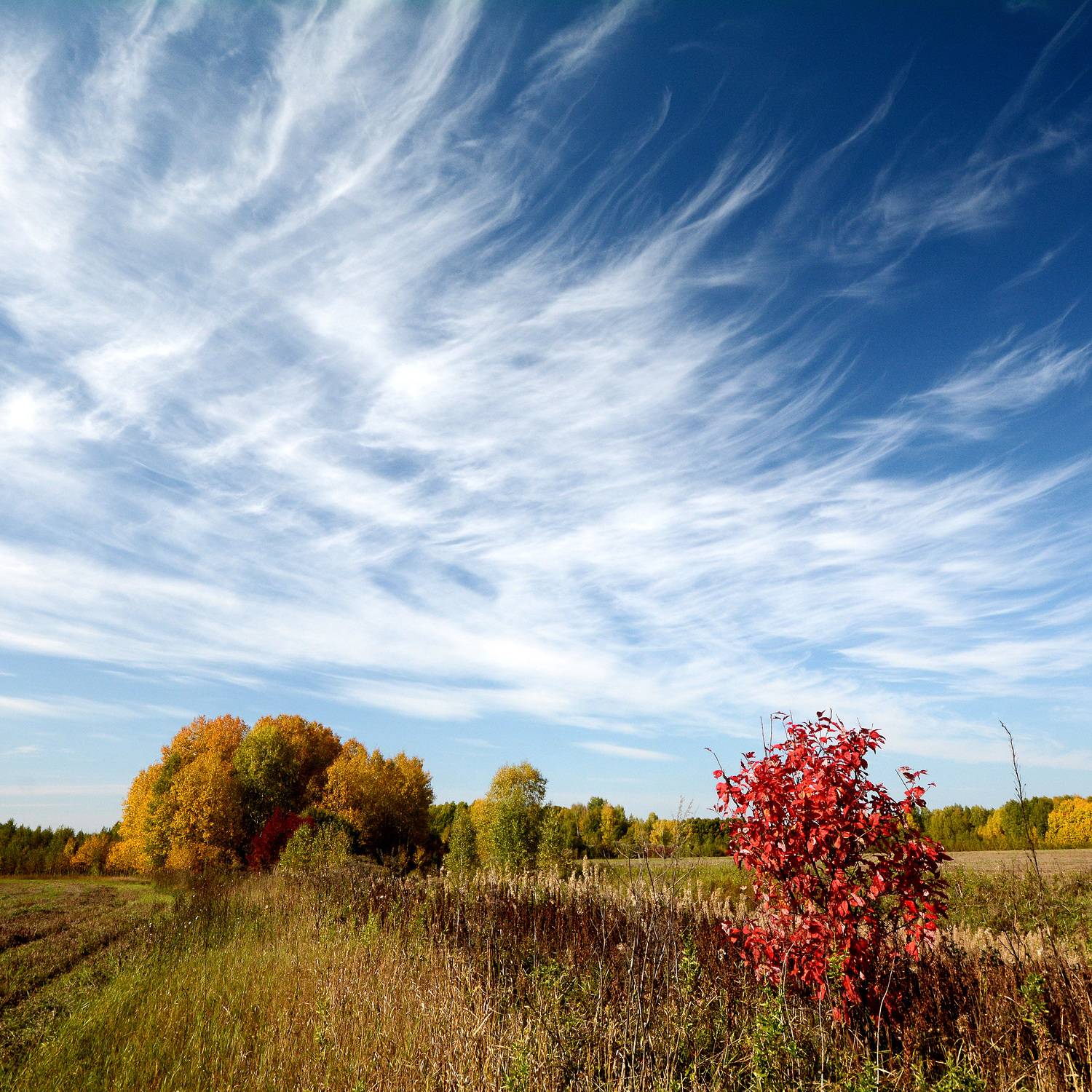 , Белоусов Михаил