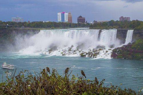 Niagara Falls