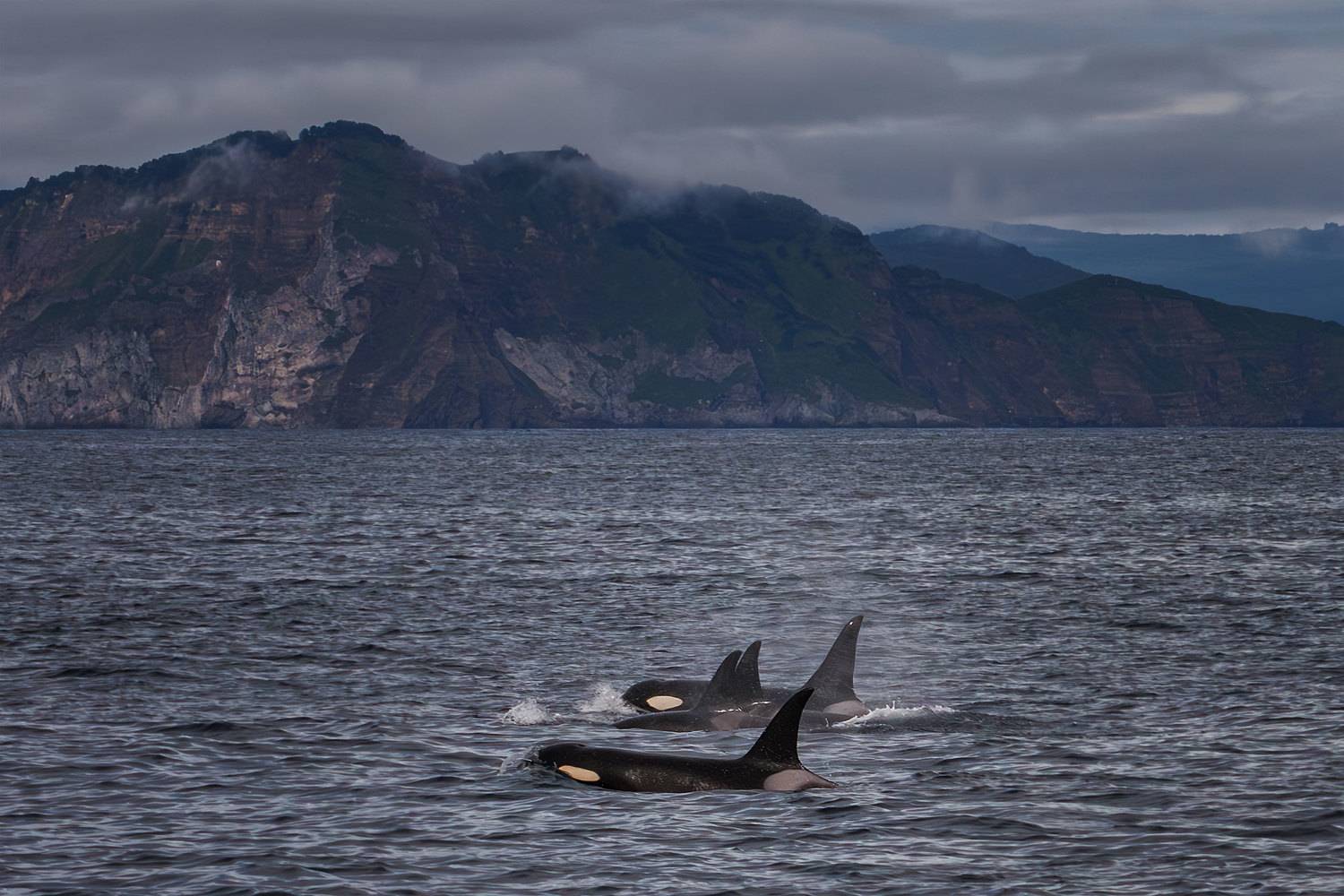 , Морозов Сергей