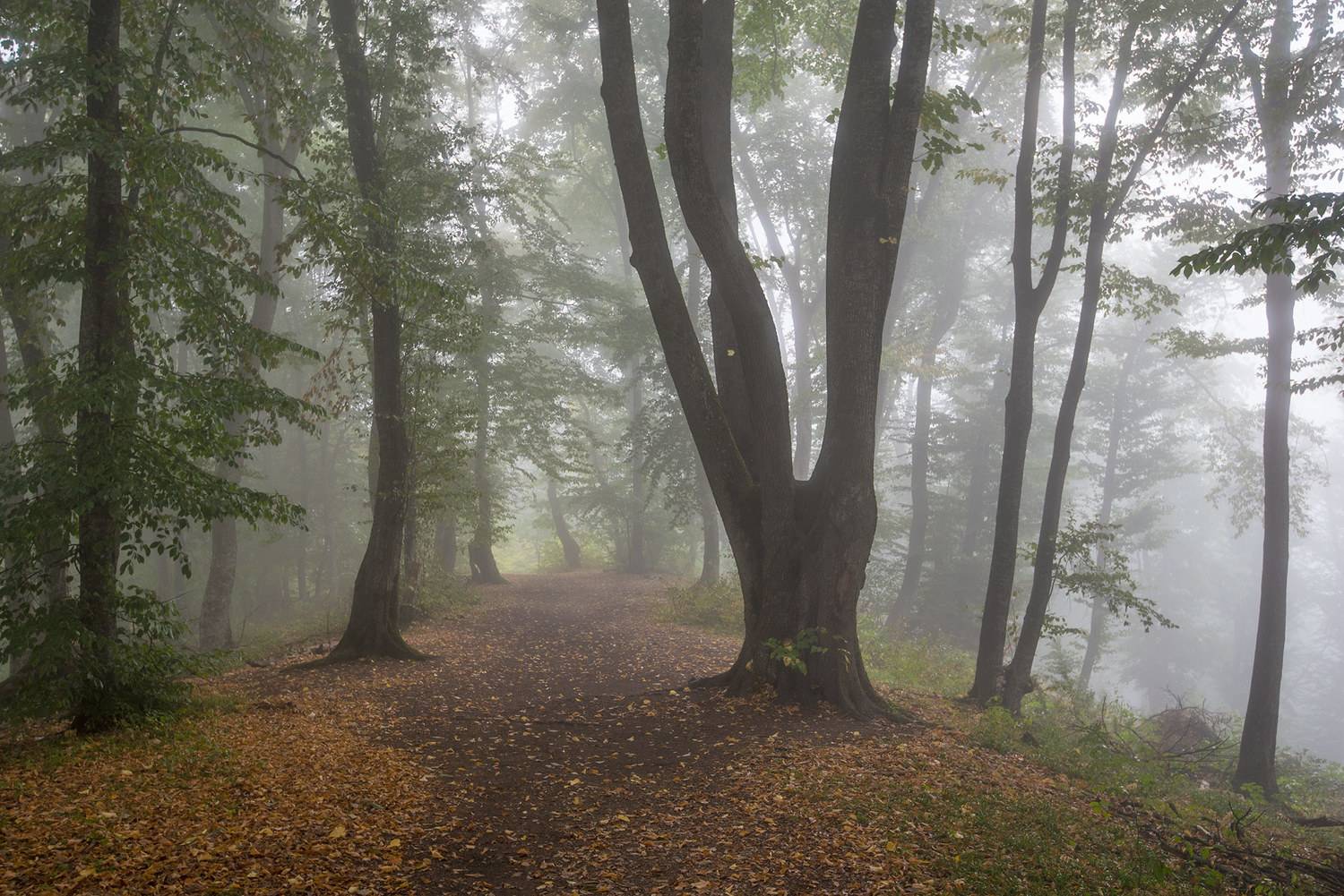 кизиловка, кабардино-балкария, Хасан Журтов