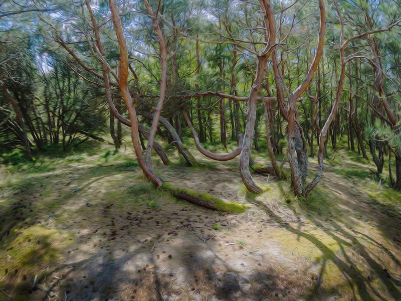 Полуденный танец. фото превью