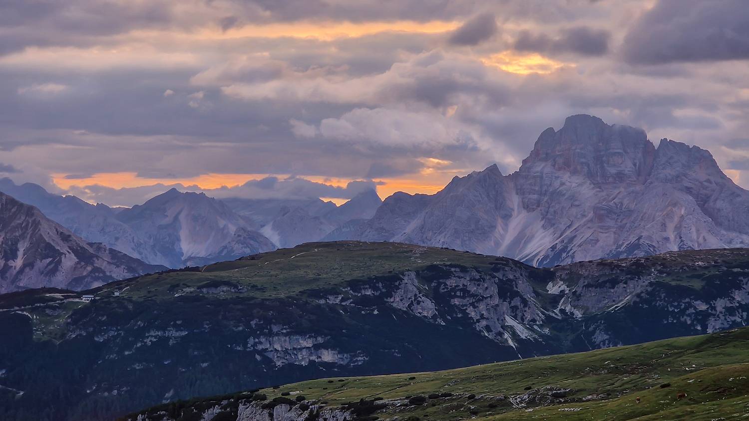 , Игорь Дубровский