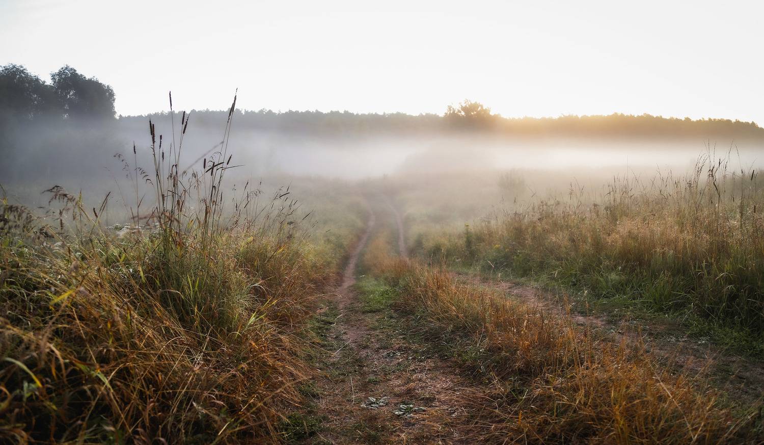 Владимир, город Владимир, Золотое кольцо России, природа России, туман, утро, Кормашова Татьяна