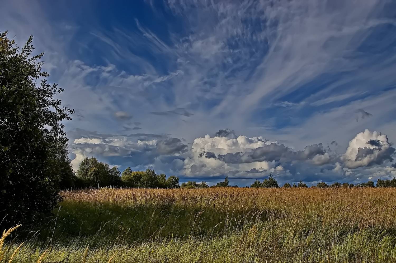 , Николаев Владимир