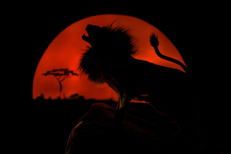 фото превью