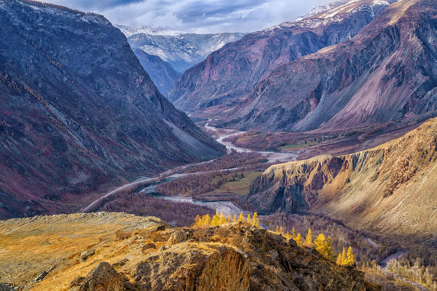 , Лариса Дука