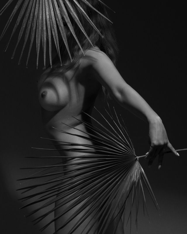 2024 фото превью