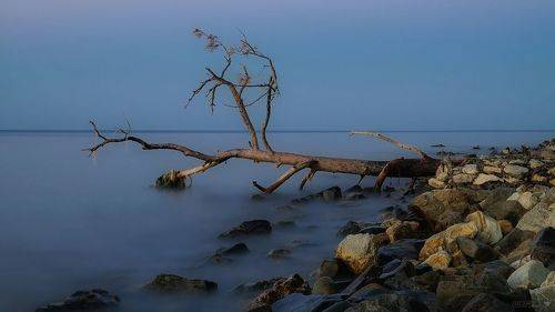 Сумерки на берегу...