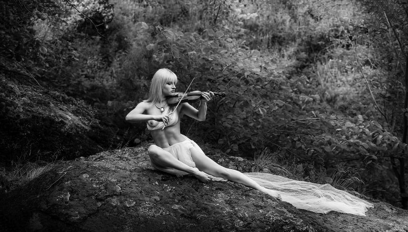 Скрипка фото превью