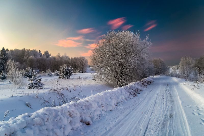 зима, холодно, дорога, Россия, вечер, поле, лес, снег, ель, небо, облака Зимней дорогой фото превью