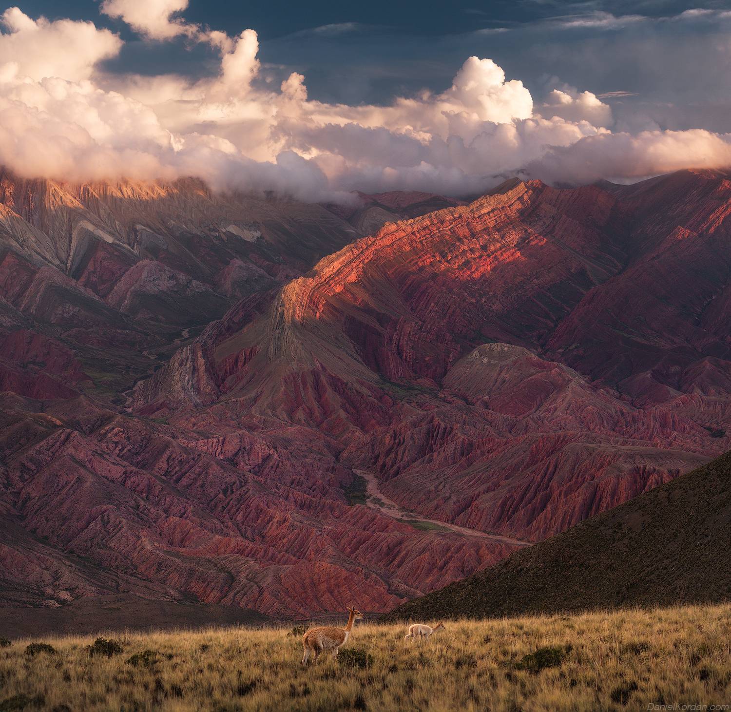 , Даниил Коржонов