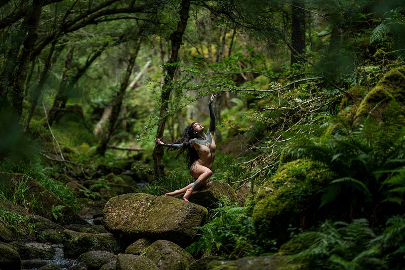 Forrest nymph фото превью