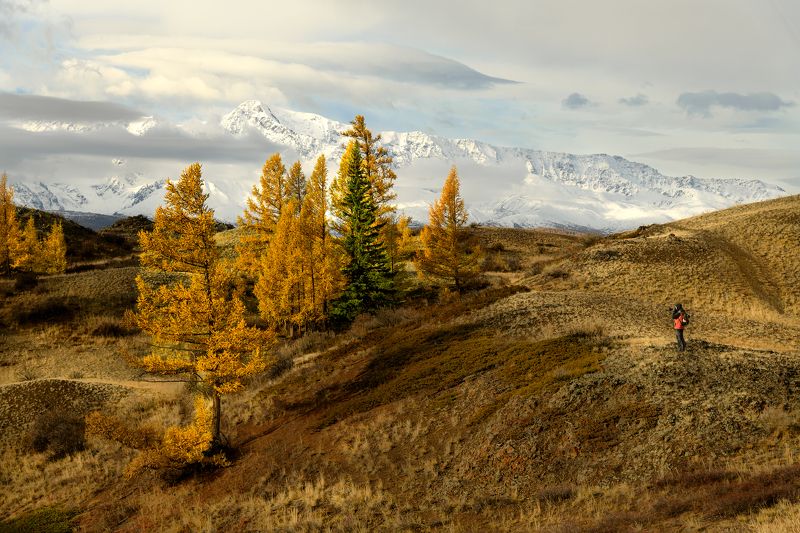 алтай, осень, горы Где-то на Алтае фото превью