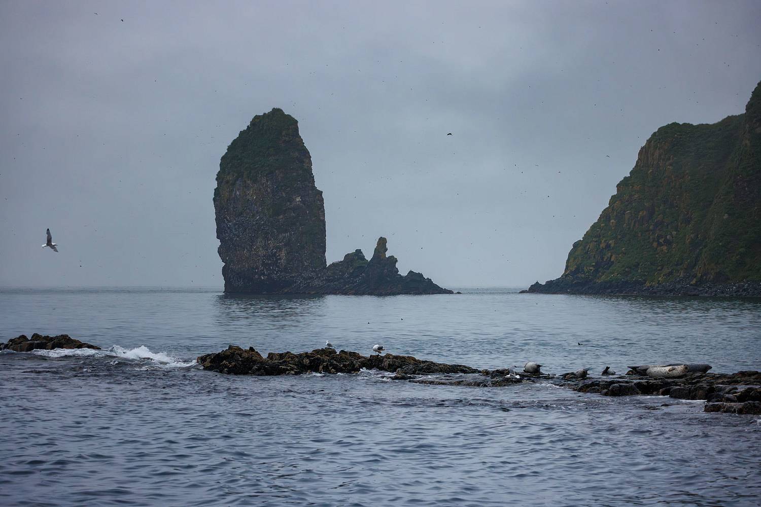 остров старичков, тихий океан, камчатка, остров, океан, Морозов Сергей