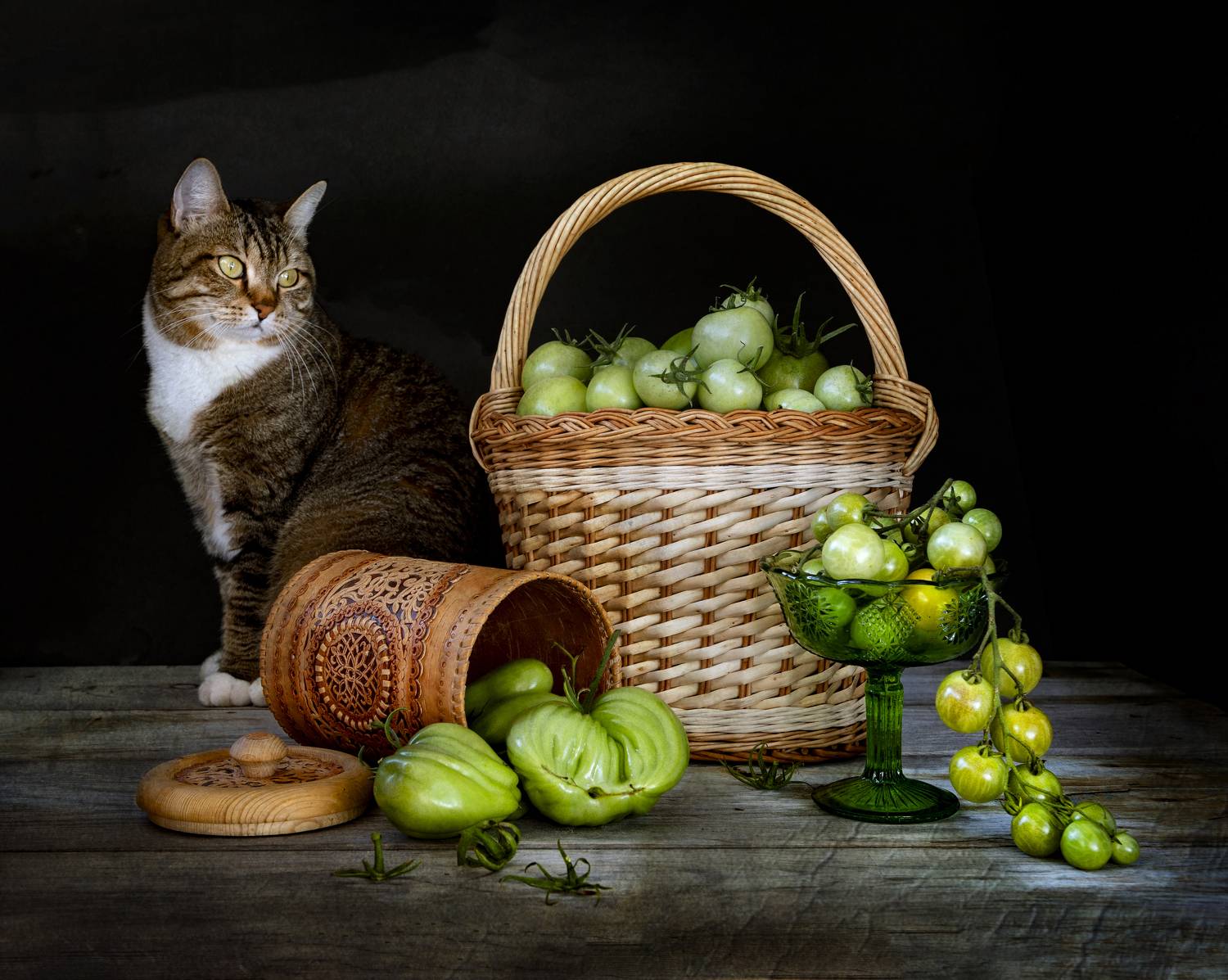 , Татьяна Попова