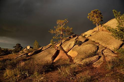 Вечерний свет