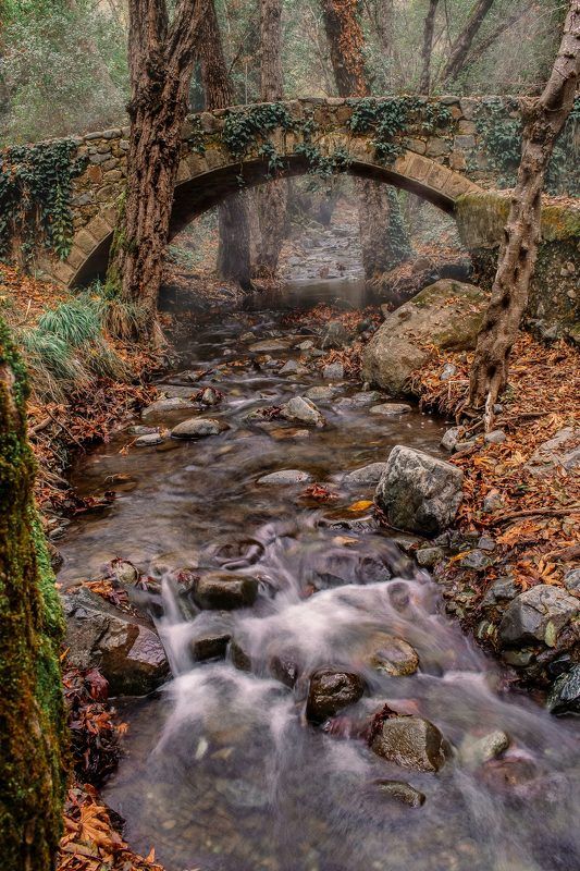 Old Bridge фото превью
