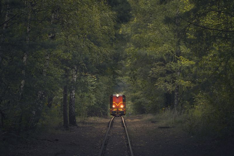 Railroad, Track, Tree, Nature, Forest, Day, Train, Vehicle, Rail, Transportation, GreenColor, Rail, Landscape, Bytom Train in Forest фото превью