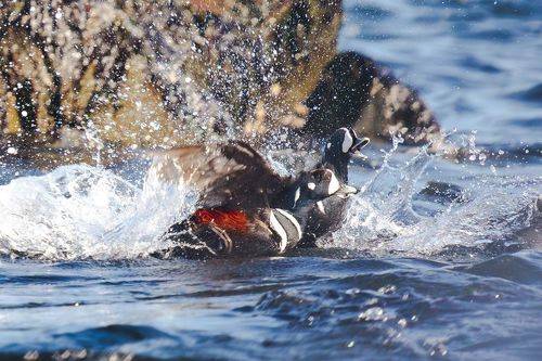 Погнали, пацаны!