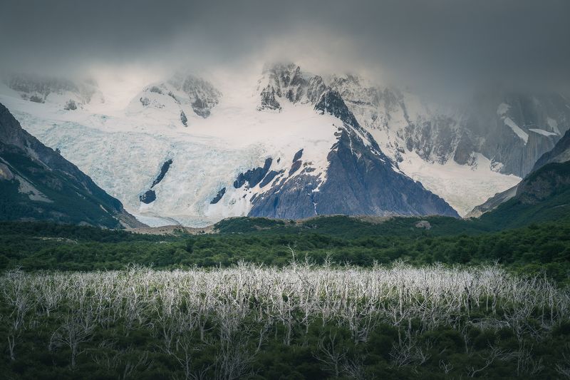 патагония, аргентина, торре, лагуна, лес, горы, снег В Патагонии фото превью