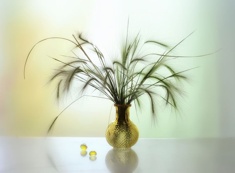 натюрморт,композиция,свет,лето,букет,ковыль *** фото превью