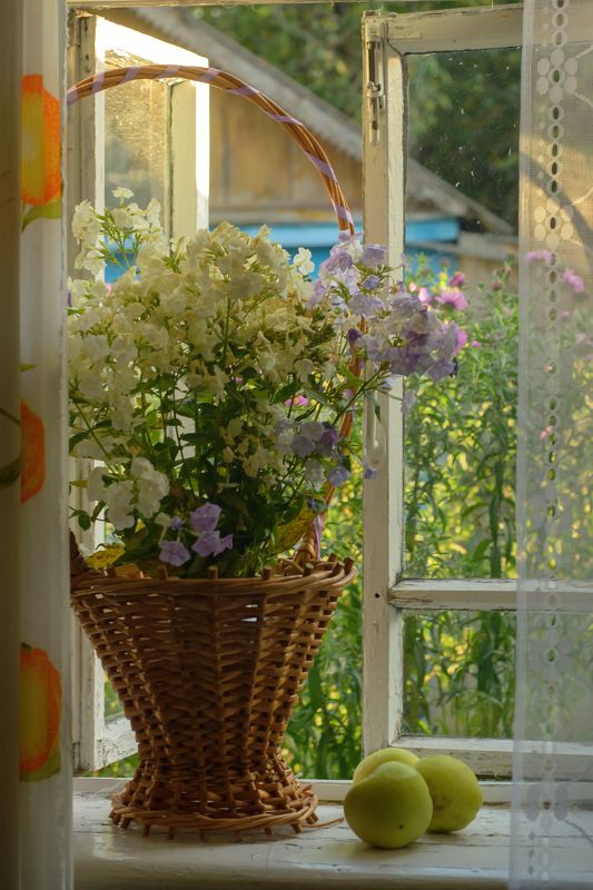 ... с яблоками. фото превью