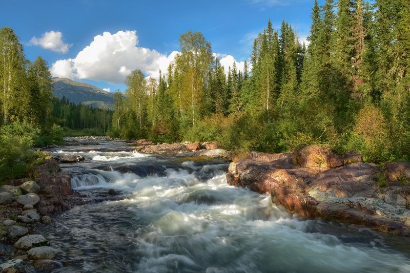 россия, хакасия, лето, река, казыр, пороги, камни, лес,горы Река Малый Казыр в Кузнецком Алатау фото превью