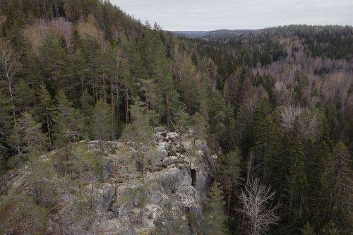 Ранняя весна на севере Ленинградской области