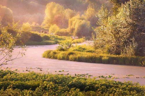 Предвечернее дыхание августа 