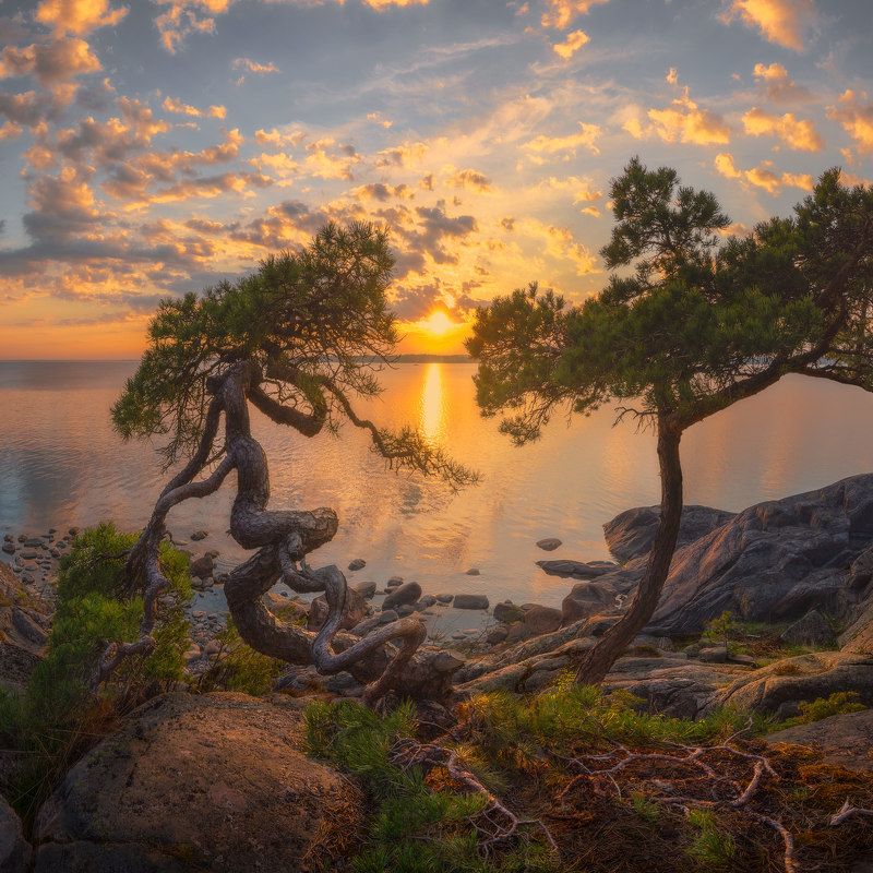 Порккаланниеми фото превью