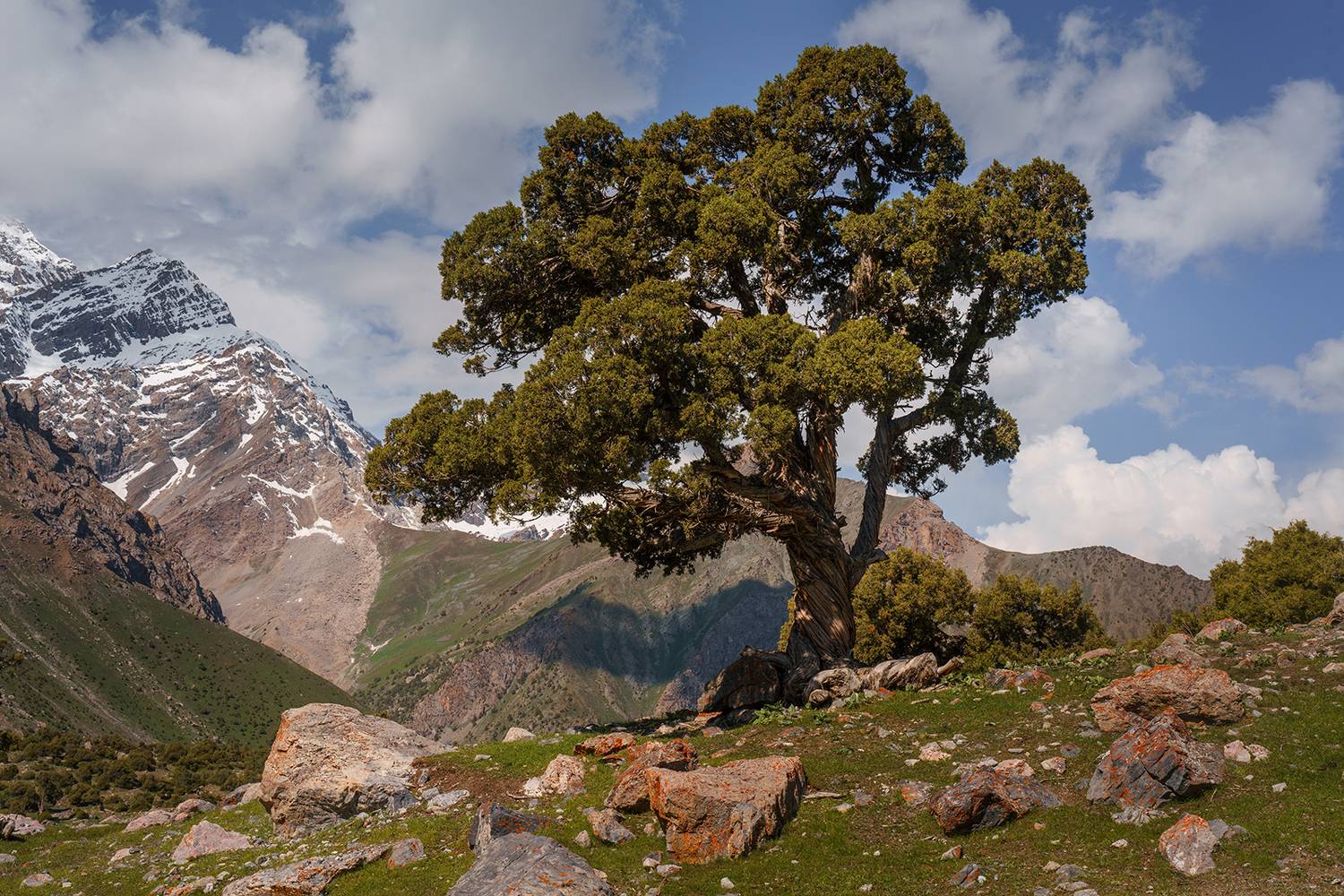 таджикистан, алаудин, озеро, фаны, фанские горы, пейзаж, горы, Нерозя Александр