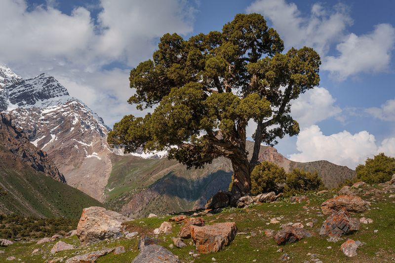 Куликалон фото превью
