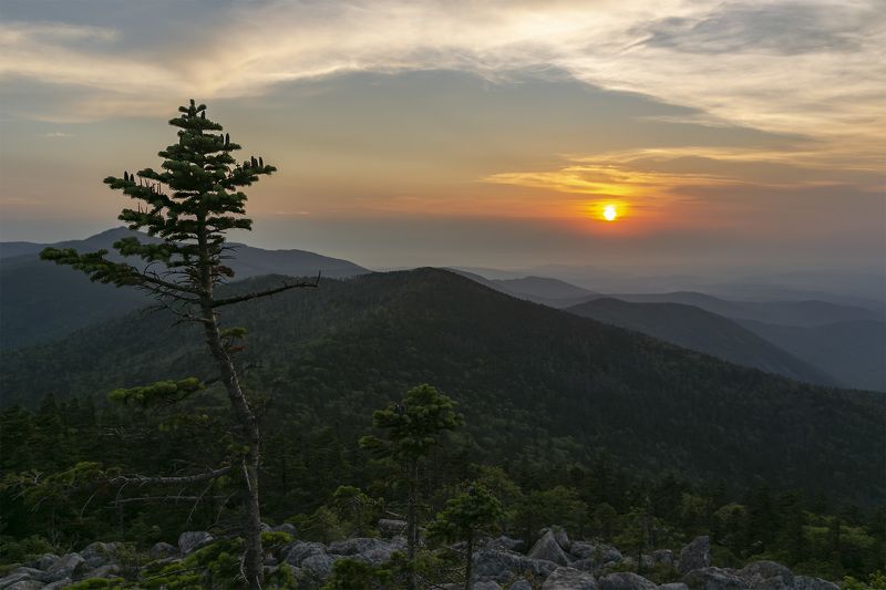 Закат, тайга, горы  фото превью