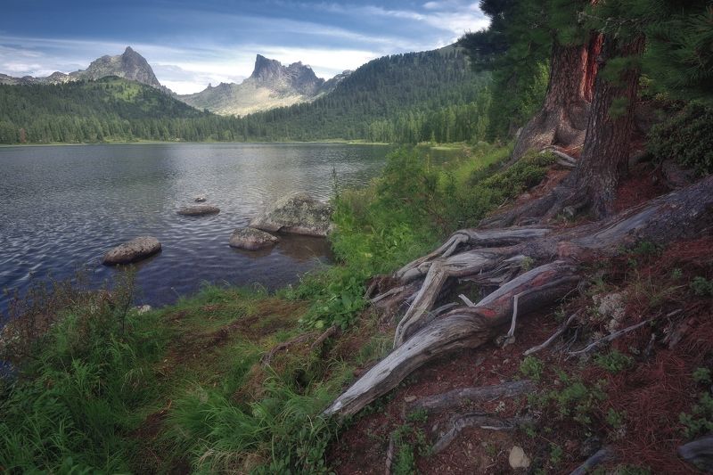 На берегу Светлого фото превью