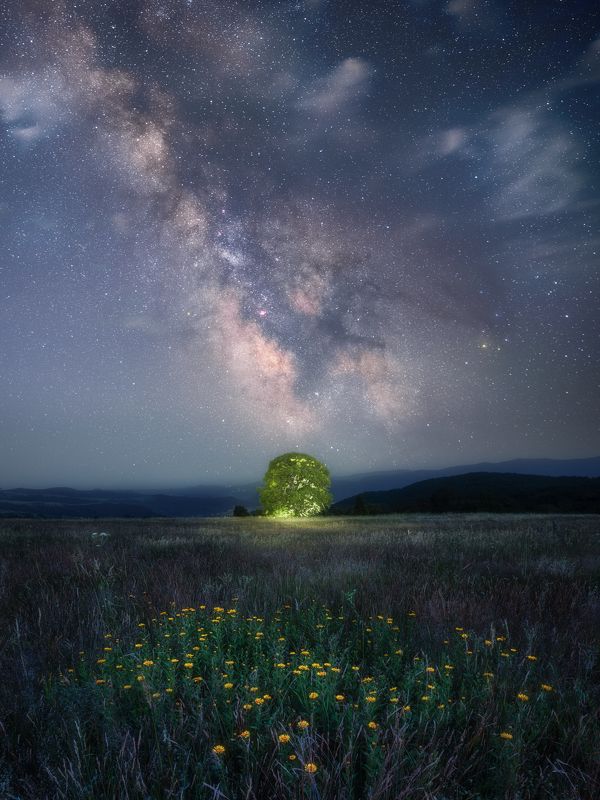 In the middle of nowhere фото превью