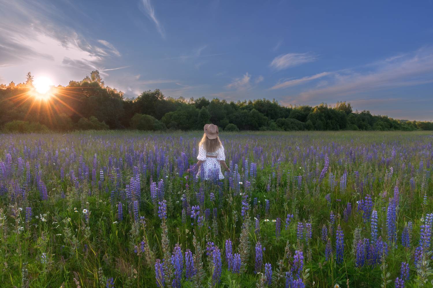 , Широбоков Михаил