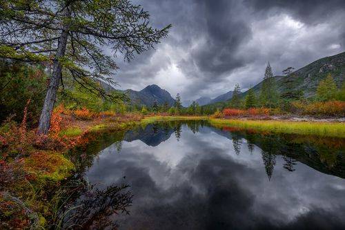 В жопу Мальдивы!