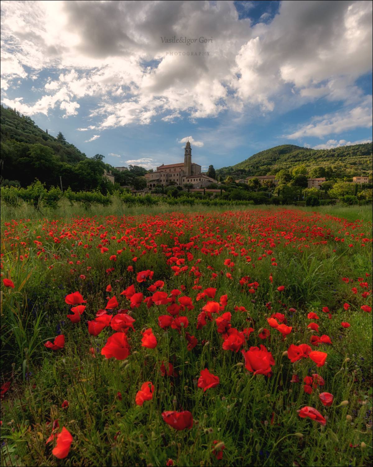 italy, arqu&agrave; petrarca,italia,вечер,италия,маки,veneto,весна,венето,belvedere,деревня,свет,nature,rural,май,, Гори Василий