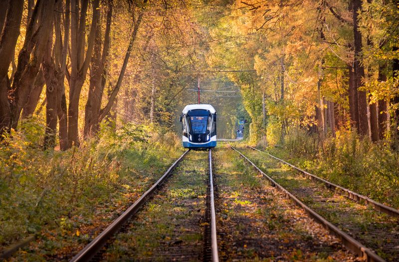 трамвай, измайлово, tram, нд, город москва, моя москва, осень, что такое осень? Следующая остановка - осень... фото превью
